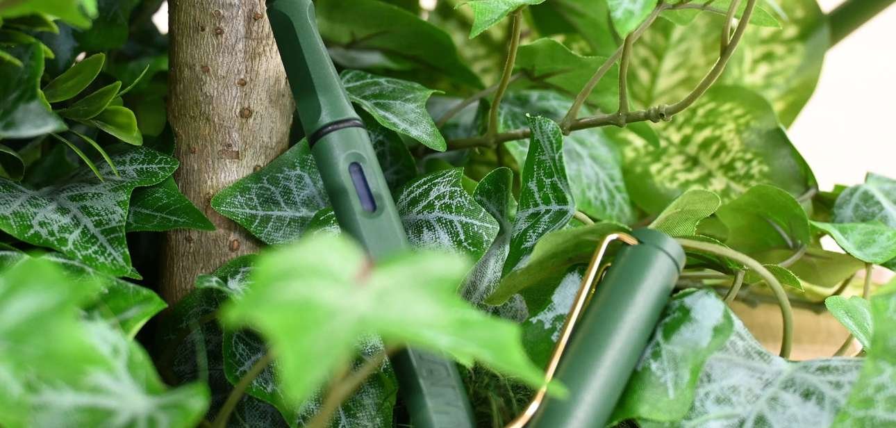 LAMY Safari Field Green Gold Clip: un'esclusiva orientale